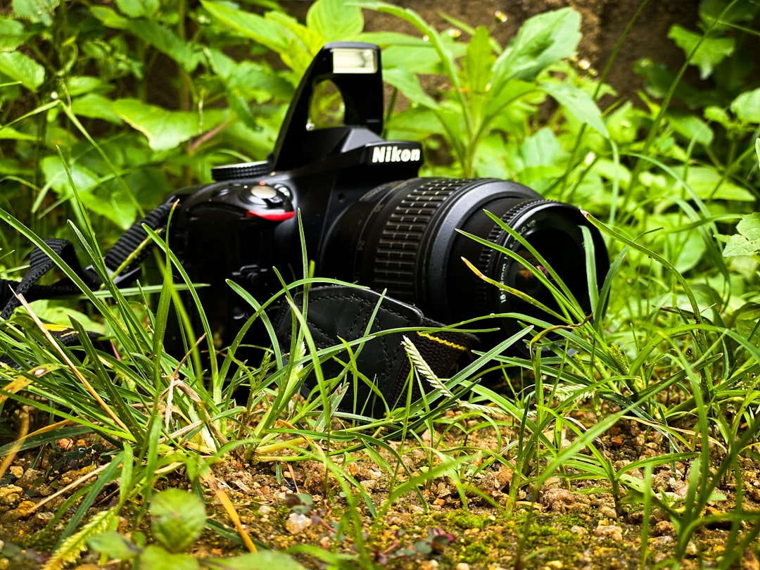 Landscape Photography