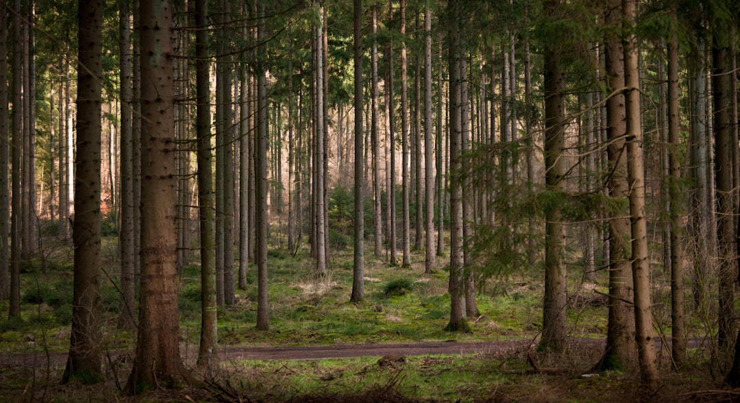 Environmental Portrait Photography